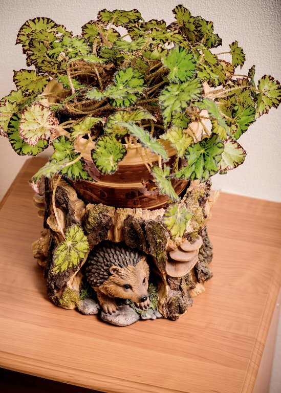 Гостиница Дом охотника Томск-20