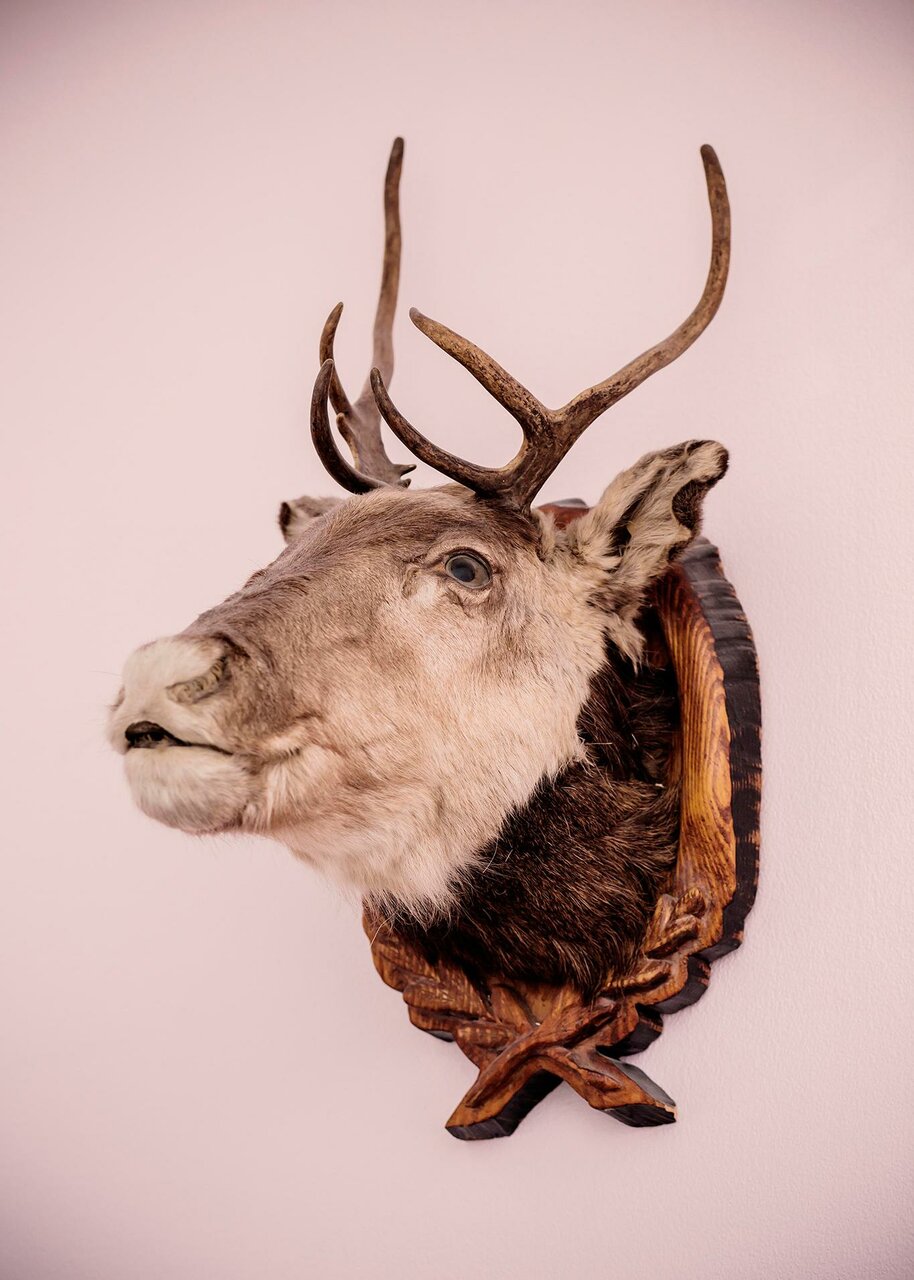 Гостиница Дом охотника Томск-8