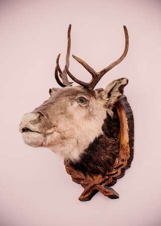 Гостиница Дом охотника Томск-4