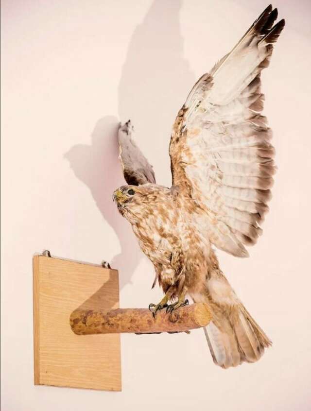 Гостиница Дом охотника Томск-13