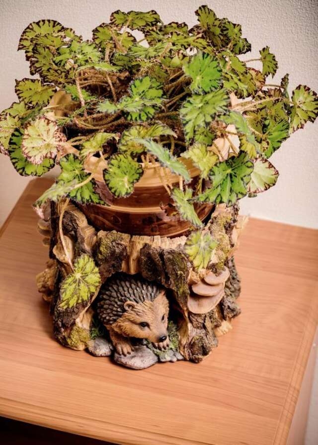 Гостиница Дом охотника Томск-19